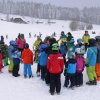 Zwergl-Skikurs Januar 2016