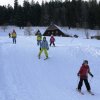 Zwergl-Skikurs Januar 2016