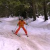 Zwergl-Skikurs Januar 2016