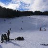 Zwergl-Skikurs Januar 2016