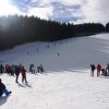 Zwergl-Skikurs Januar 2016